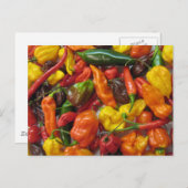 Carte Chilihead (Devant / Derrière)