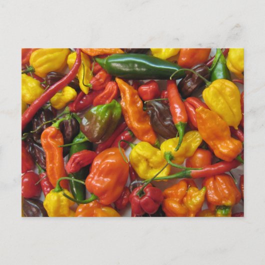 Carte Chilihead (Devant)