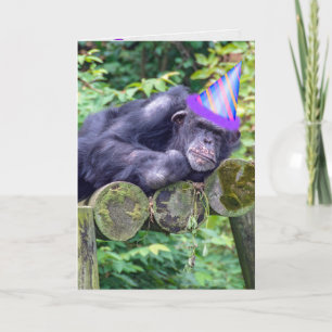 Carte chimpanzé de fête pour un anniversaire humoristiqu