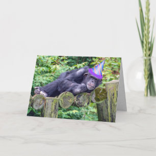 Carte chimpanzé de fête pour un anniversaire humoristiqu