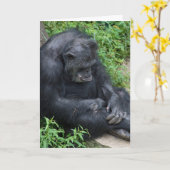Carte Chimpanzé de l'anniversaire tardif (Fleur jaune)