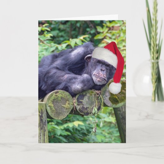 Carte Chimpanzé de Noël avec chapeau de Père Noël (Devant)