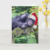 Carte Chimpanzé de Noël avec chapeau de Père Noël (Fleur jaune)