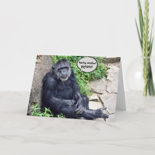 Carte Chimpanzé Vieillir (Devant)