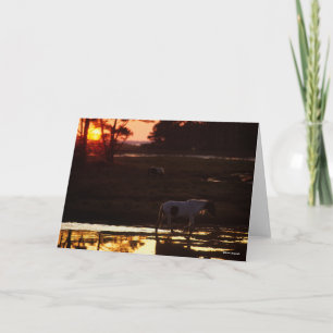 Carte Chincoteague marche dans l'eau au coucher du solei