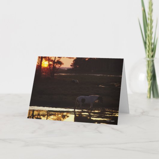 Carte Chincoteague marche dans l'eau au coucher du solei (Devant)