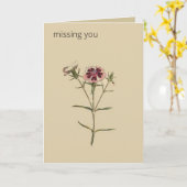 Carte Chine botanique modifiable Dianthus Salutation (Fleur jaune)