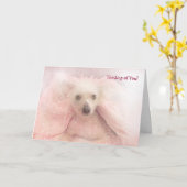 Carte Chinois Crested Hairless Pup (Fleur jaune)