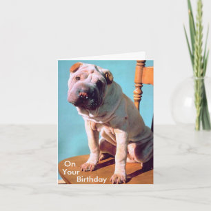 Carte Chinois Shar-Pei