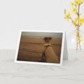 Carte Chiot à la plage (Fleur jaune)