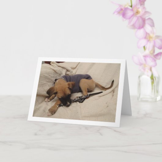 Carte Chiot avec collier pour chien (Orchidée)