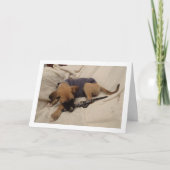 Carte Chiot avec collier pour chien (Devant)