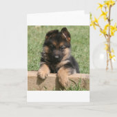 Carte Chiot berger allemand (Fleur jaune)