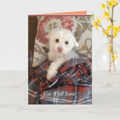 Carte Chiot blanc sous une couverture Obtenez bien bient (Fleur jaune)