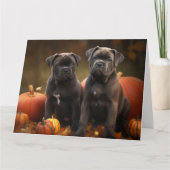 Carte Chiot Cane Corso Délice d'Automne Citrouille (Devant)
