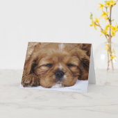 Carte Chiot Cavalier King Charles Spaniel endormi (Fleur jaune)