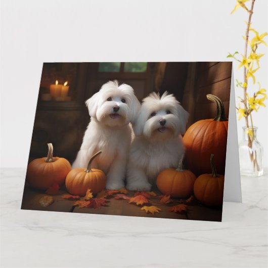 Carte Chiot Coton De Tulear Délice d'Automne Citrouille (Fleur jaune)