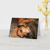 Carte Chiot d'animal familier de teckel (Fleur jaune)