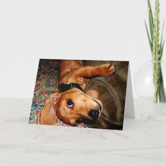 Carte Chiot d'animal familier de teckel (Devant)