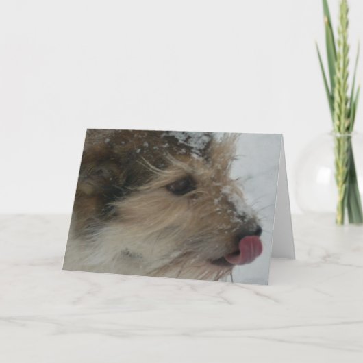 Carte Chiot dans la neige (Devant)