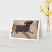 Carte Chiot dans un pare-chocs (Fleur jaune)