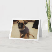 Carte Chiot dans un pare-chocs (Devant)