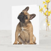 Carte Chiot de bouledogue français (7 mois) (Fleur jaune)