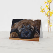 Carte chiot de briard (Fleur jaune)