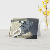 Carte Chiot de Dalmation (Fleur jaune)