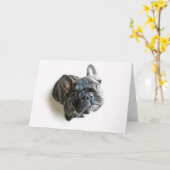 Carte Chiot de France (Fleur jaune)