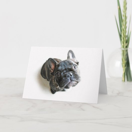 Carte Chiot de France (Devant)