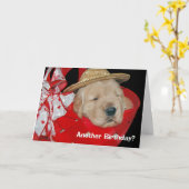 Carte chiot de golden retriever d'anniversaire (Fleur jaune)