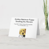 Carte Chiot de golden retriever sentant les fleurs (Dos)