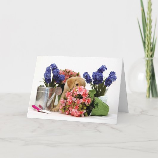 Carte Chiot de golden retriever sentant les fleurs (Devant)