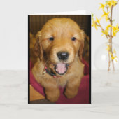 Carte Chiot de golden retriever toute occasion (Fleur jaune)