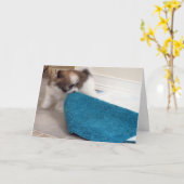 Carte Chiot de Havanese déplaçant sa couverture (Fleur jaune)