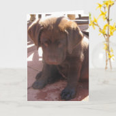 Carte Chiot de Labrador de chocolat (Fleur jaune)