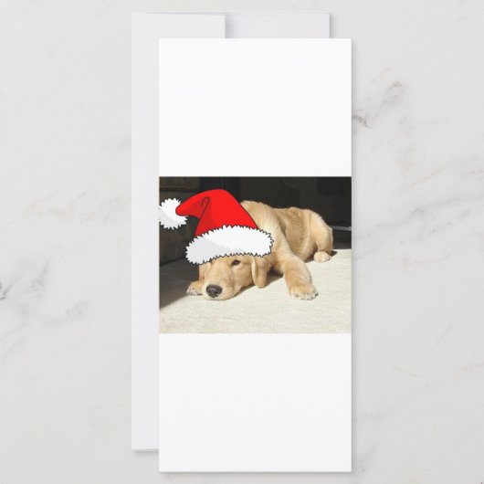 Carte Chiot de Noël Golden Retriever (Devant)