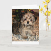 Carte Chiot de Shorkie (Fleur jaune)