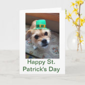 Carte Chiot de St. Patrick (Fleur jaune)