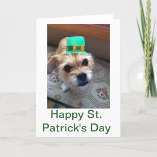 Carte Chiot de St. Patrick