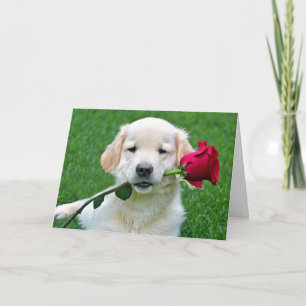 Carte Chiot d'or rétriever avec Rose rouge