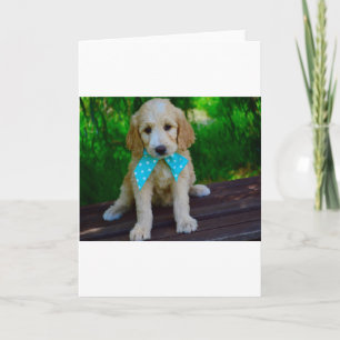 Carte chiot doré