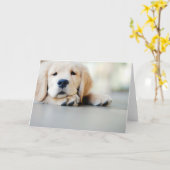 Carte Chiot doré de l'équipe de rétrification (Fleur jaune)