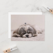 Carte Chiot endormi (Devant/Arrière en situation)