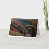 Carte Chiot et coussin (Devant)