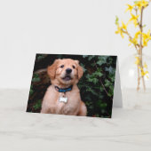 Carte Chiot Golden Retriever (Fleur jaune)
