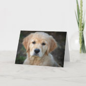 Carte Chiot Golden Retriever (Devant)