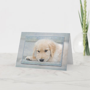 Carte chiot Golden Retriever dans un cadre bleu