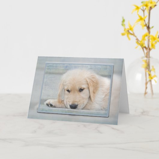 Carte Chiot Golden Retriever en cadre bleu (Fleur jaune)